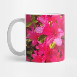 Bright pink springtime blooms Mug